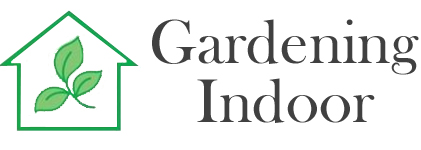 Gardening-Indoor
